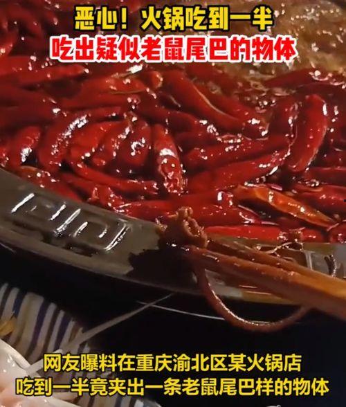 网友爆料火锅店事件视频,网友爆料视频揭露惊人一幕